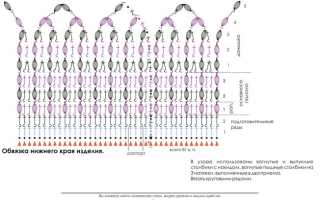 Учимся вязать крючком отличные ШАПКИ — БИНИ для всей семьи