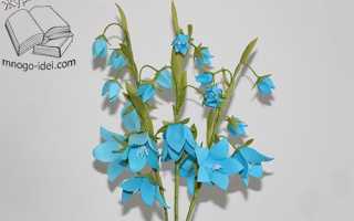 Колокольчик из фоамирана: как легко и просто сделать красивый цветок своими руками