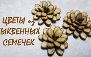 Поделки из семечек: пошаговая инструкция и советы по выбору самых красивых идей для поделок