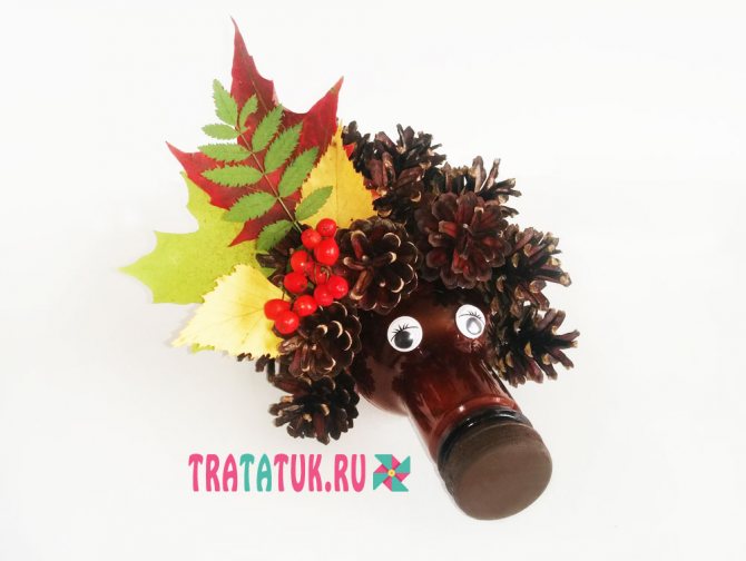 ezik-iz-shishek-butilki1 Ежик из шишек и пластиковой бутылки: мастер класс (фото)
