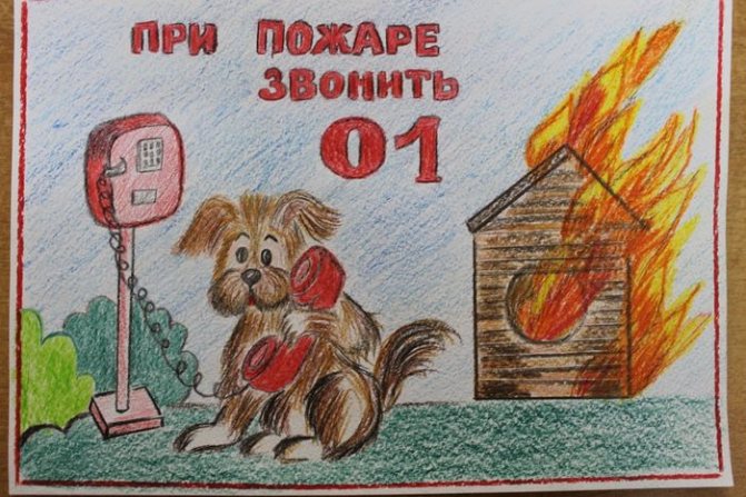 Фото 8. Познавательный рисунок -