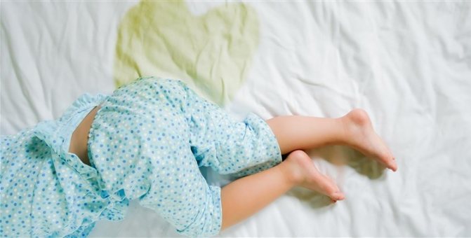 как вывести пятна от мочи