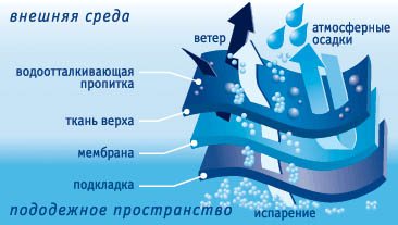 строение мембранной ткани